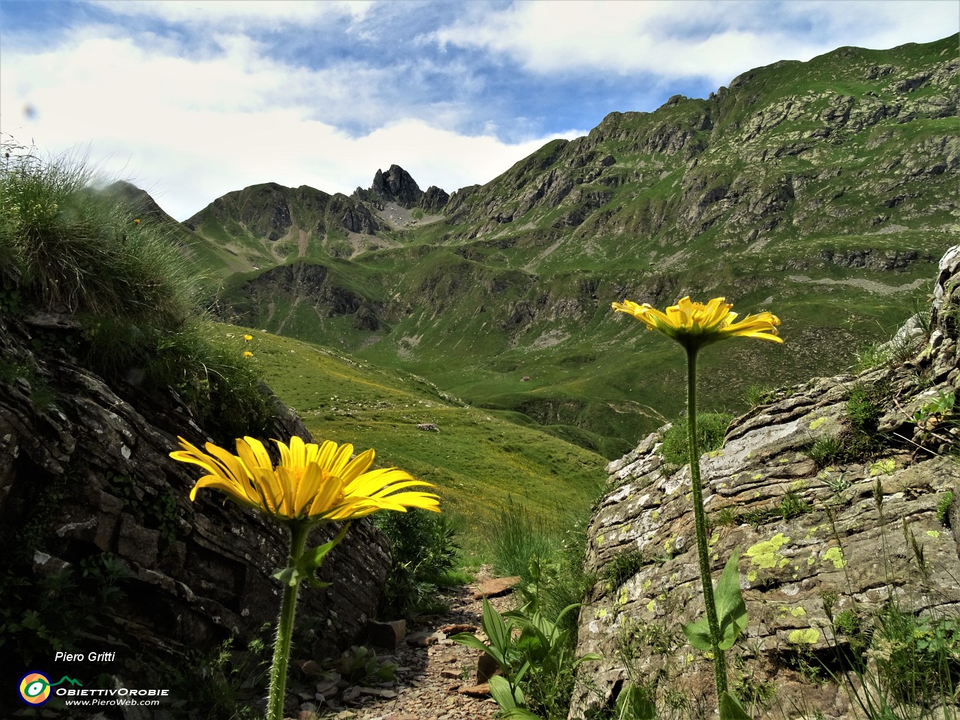 65 Coppia floreale in giallo per il Valletto.JPG